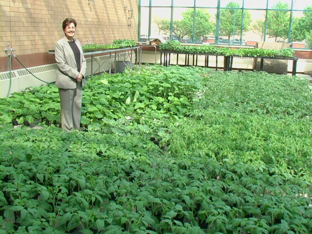 greenhouseplants.jpg